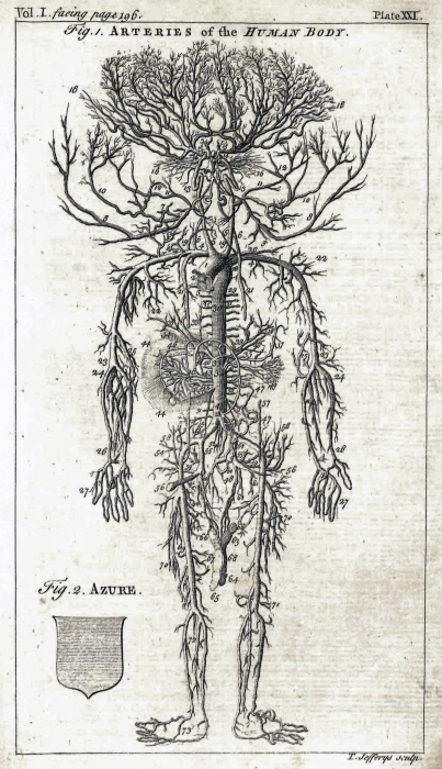 A New and Complete Dictionary of Arts and Sciences: Comprehending All ...